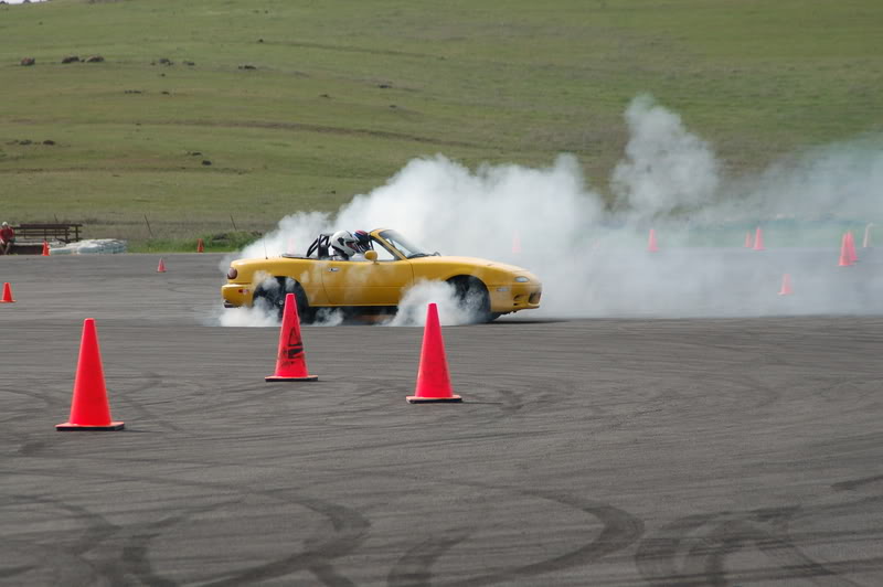 Name:  DSC_0109.jpg
Views: 33
Size:  77.6 KB