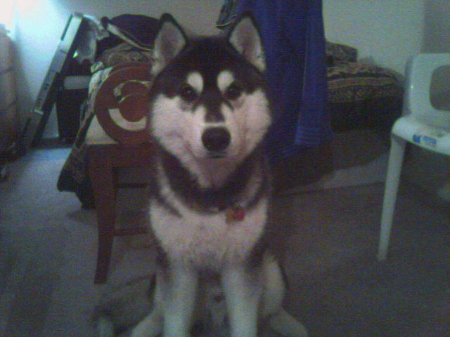 Name:  Image005.jpg
Views: 22
Size:  53.4 KB