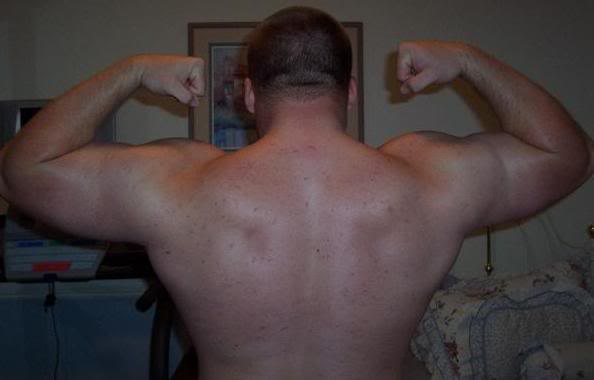 Name:  dbback.jpg
Views: 19
Size:  16.6 KB