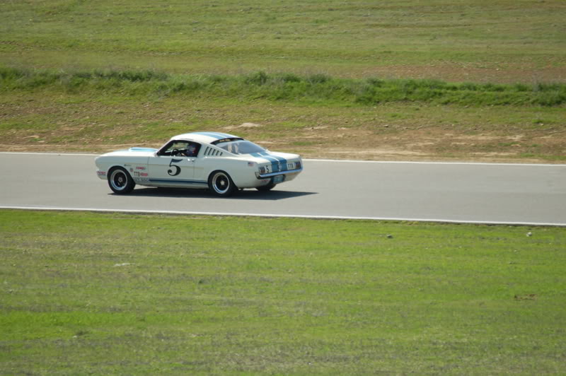 Name:  DSC_0023.jpg
Views: 20
Size:  95.1 KB
