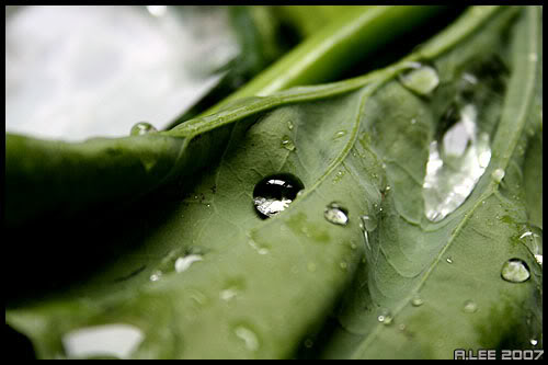 Name:  IMG_0601edit.jpg
Views: 25
Size:  30.6 KB