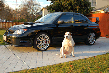 Name:  DSC_0011.gif
Views: 22
Size:  59.9 KB