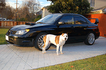 Name:  DSC_0010.gif
Views: 22
Size:  56.1 KB
