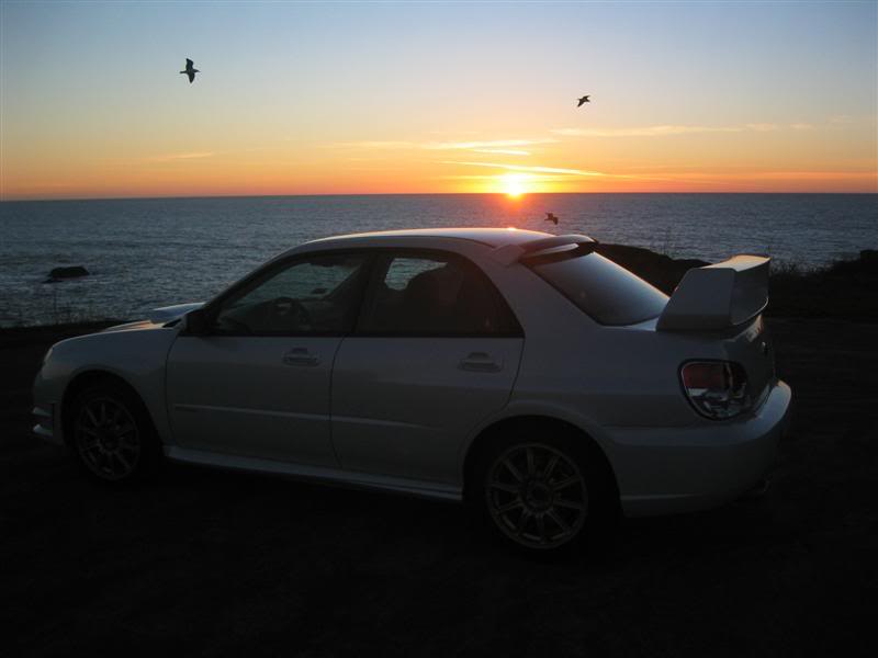 Name:  Picture331Medium.jpg
Views: 12
Size:  25.9 KB