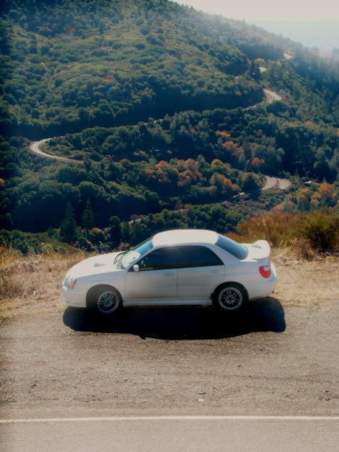 Name:  Mountie2.jpg
Views: 13
Size:  65.4 KB