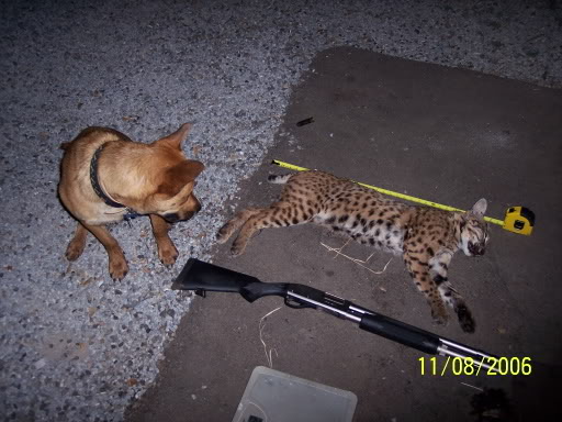 Name:  100_1840.jpg
Views: 11
Size:  49.6 KB