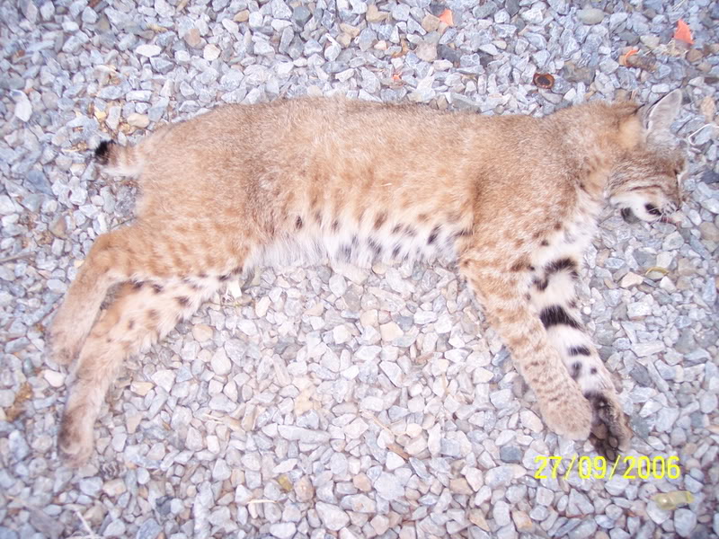 Name:  100_1982.jpg
Views: 12
Size:  144.5 KB