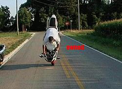 this is the BIGGEST OWNED EVAH!!!!-eee43.jpg