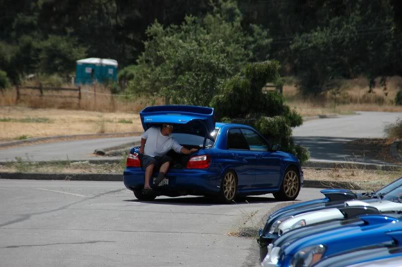 Name:  trunk_ride.jpg
Views: 69
Size:  63.3 KB