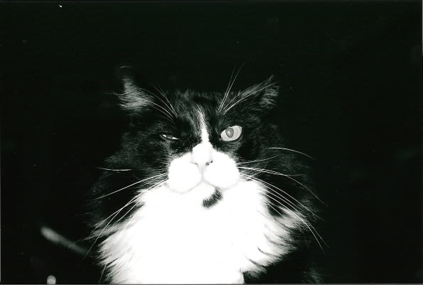 Name:  yar.jpg
Views: 20
Size:  27.6 KB