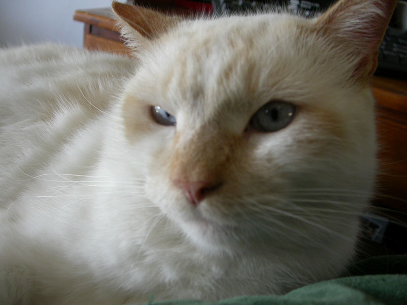 Name:  backoff.jpg
Views: 16
Size:  65.2 KB