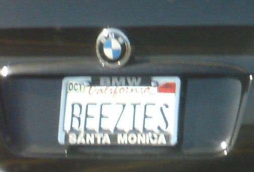 Name:  beezies.jpg
Views: 18
Size:  21.3 KB