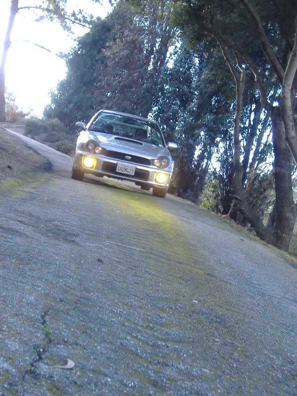 Name:  DSCF0032.jpg
Views: 20
Size:  125.4 KB