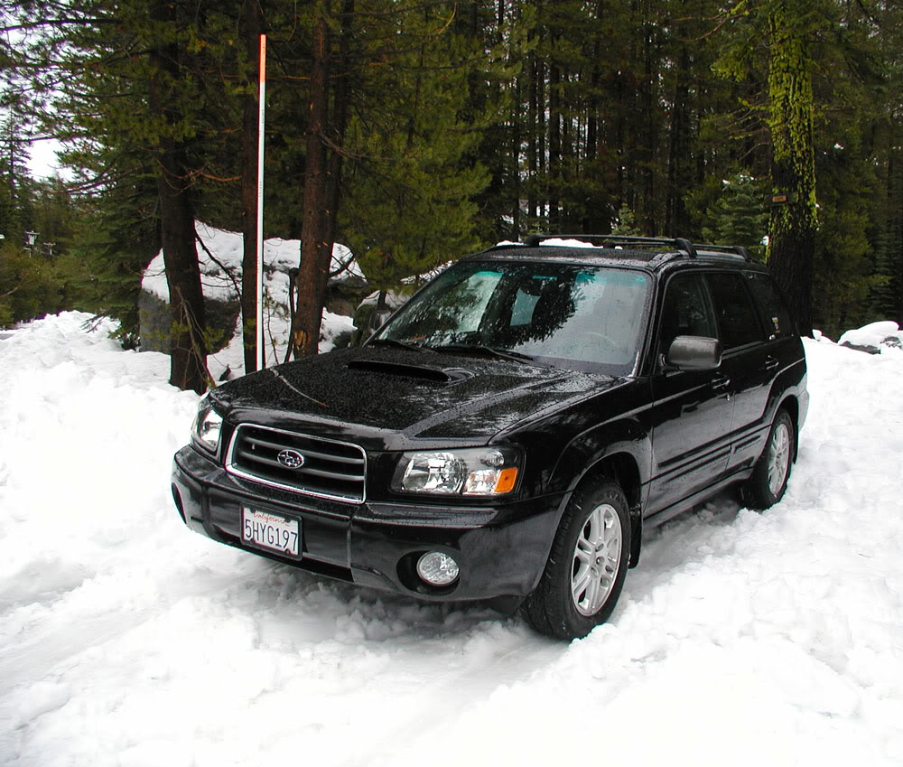 Name:  snow2.jpg
Views: 17
Size:  174.2 KB