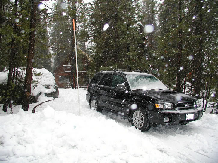 Name:  Snow11.jpg
Views: 16
Size:  131.4 KB