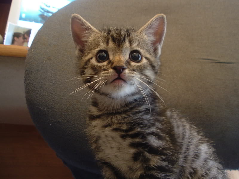 Name:  DSCF0200.jpg
Views: 7
Size:  67.0 KB