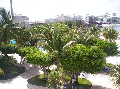 Name:  cancun151.jpg
Views: 11
Size:  36.7 KB