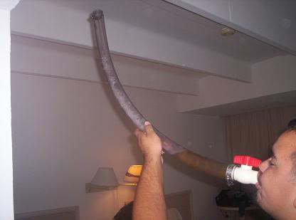 Name:  cancun054.jpg
Views: 11
Size:  11.3 KB