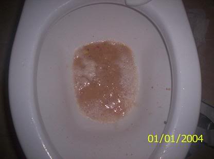 Name:  cancun043.jpg
Views: 11
Size:  11.4 KB