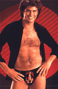 Name:  hasselhoffian-recursion.gif
Views: 9
Size:  150.4 KB