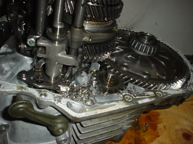 Name:  gearchunks.jpg
Views: 21
Size:  61.1 KB