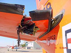 bird vs 180mph viper-2.jpg