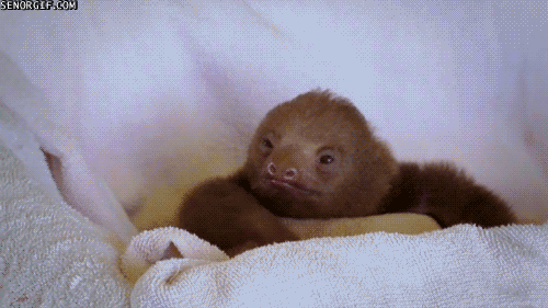 Name:  zcTvWiG.gif
Views: 13
Size:  1.01 MB