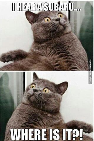 Name:  oHnepOL.jpg
Views: 803
Size:  29.3 KB