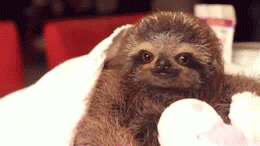 Name:  jiPMSEV.gif
Views: 10
Size:  568.9 KB