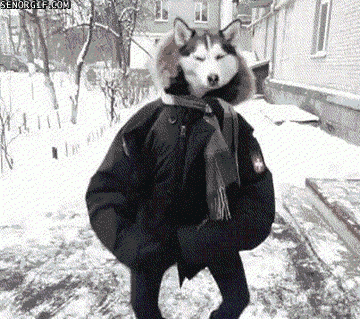 Name:  7Yt7J.gif
Views: 13
Size:  1.88 MB