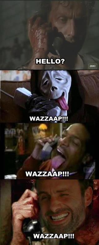 Name:  tyMPY.jpg
Views: 13
Size:  31.1 KB