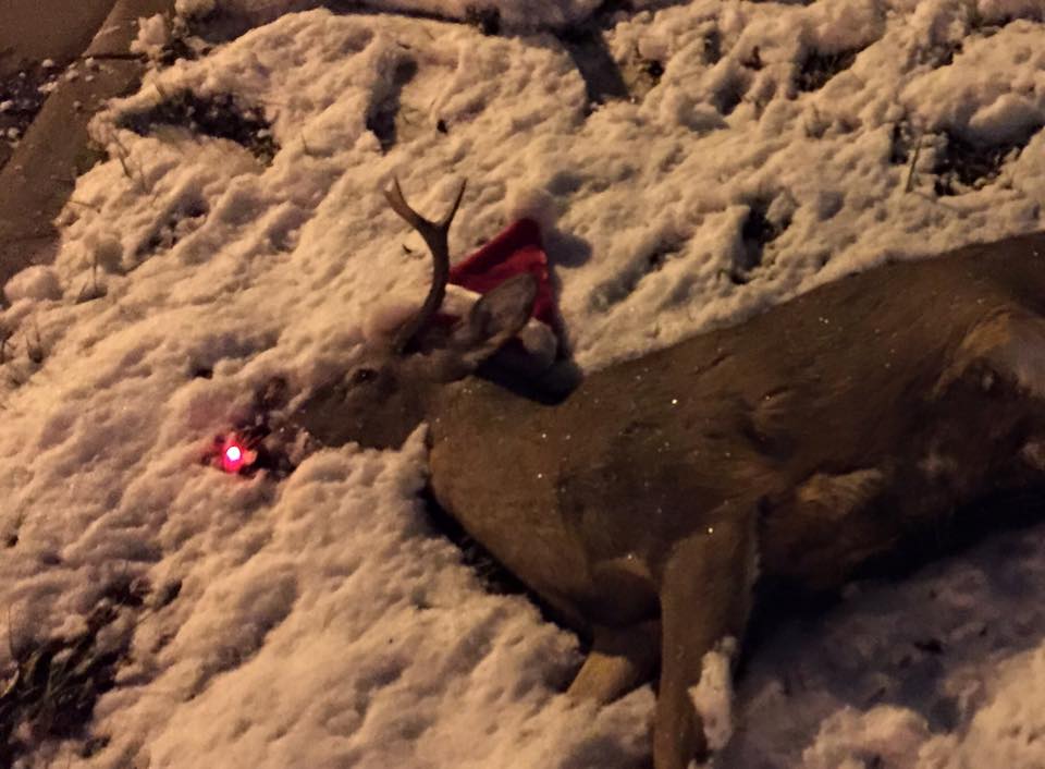 Name:  YgmpAKk.jpg
Views: 16
Size:  75.9 KB