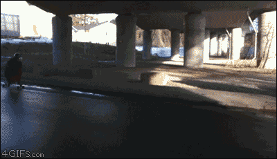 Name:  AqQ9Z.gif
Views: 19
Size:  1,016.1 KB