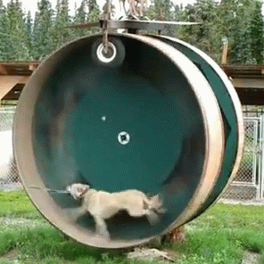 Name:  fdtx4.gif
Views: 15
Size:  1.43 MB