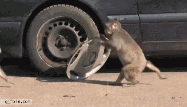 Name:  j1vIG.gif
Views: 53
Size:  1.69 MB
