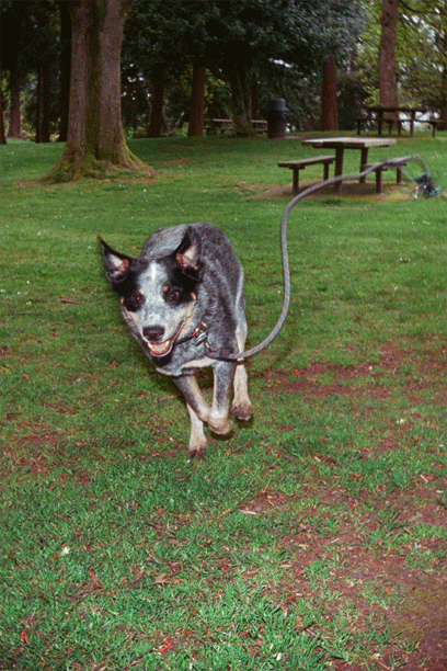 Name:  5Fq7S.gif
Views: 26
Size:  1.29 MB