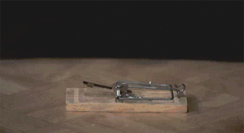 Name:  Tnq4P.gif
Views: 18
Size:  1.30 MB