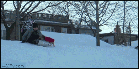 Name:  VvpLo.gif
Views: 60
Size:  1.67 MB
