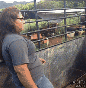 Name:  zPoi8Dr.gif
Views: 108
Size:  2.00 MB