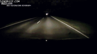 Name:  CHKXx.gif
Views: 24
Size:  4.21 MB