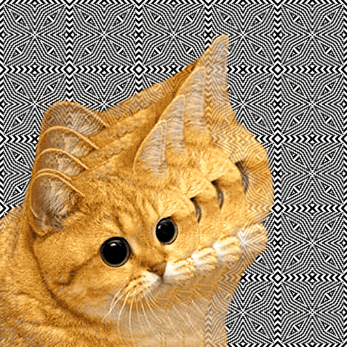 Name:  Yy1H4.gif
Views: 32
Size:  449.6 KB