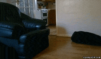 Name:  UJkPc.gif
Views: 51
Size:  794.1 KB