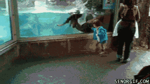 Name:  Oslos.gif
Views: 85
Size:  1.92 MB