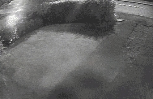 Name:  vAnna.gif
Views: 53
Size:  1.75 MB