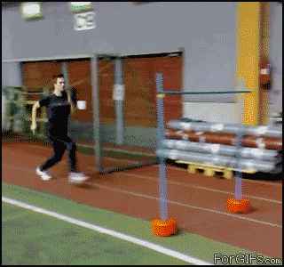 Name:  irADH.gif
Views: 22
Size:  1.99 MB