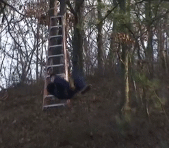 Name:  RCpJQfd.gif
Views: 37
Size:  4.77 MB