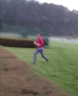 Name:  PRHDUlT.gif
Views: 33
Size:  1.69 MB