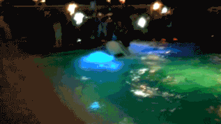 Name:  mKPGS.gif
Views: 67
Size:  1.96 MB