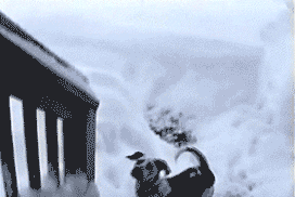 Name:  sF18I.gif
Views: 38
Size:  2.00 MB