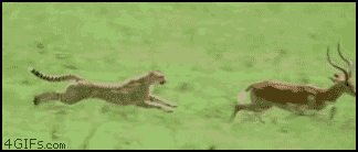 Name:  5KACU.gif
Views: 64
Size:  496.9 KB